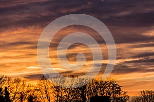 Beautiful cloudy sunset tinged with clouds with an impressive reddish color with trees in the background