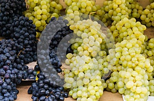 Beautiful clusters of white and blue grapes in the market