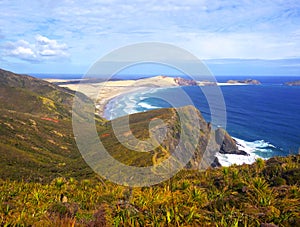 Beautiful coast of Cape Reinga New Zealand