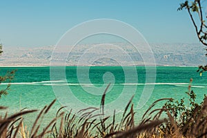 Beautiful coast of the Dead Sea