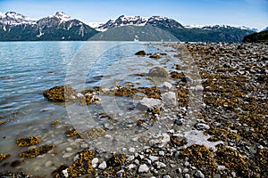 A beautiful coast landscape of the Glacier Bay in Alaska