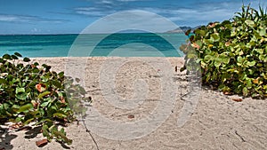 Beautiful coast of Saint Maarten - Dutch Antilles