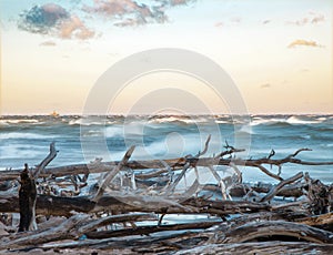 Beautiful coast scene