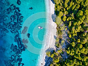 The beautiful coast of Skopelos island, Sporades