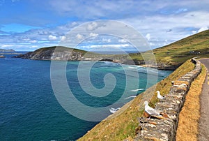 Beautiful coast between Slea Head and Dunmore Head, Ireland