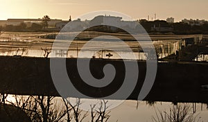 Beautiful coastal fish reserve park of rio formosa in sunset