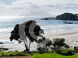 Beautiful coastal landscape, Tawharanui, NZ