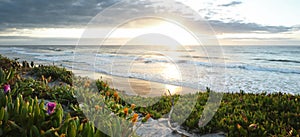 Beautiful coastal sunrise with wildflowers and beach