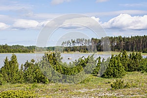 Beautiful coastal view of Saaretirp Cape in spring, Hiiumaa island