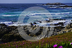 Beautiful coastline scenery with ocean waves, pink flowers and rocks cliff on Pacific Coast
