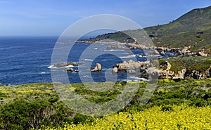 Beautiful coastline scenery with ocean waves and rocks on Pacific Coast