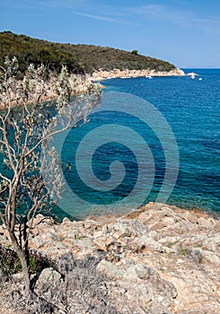 Beautiful coastlines in Elba island. Italy