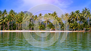 Beautiful coconut palm trees on a white sand beach in the Island south of THAILAND. Relaxing day at the beach for background
