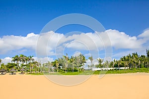 Beautiful coconut palms and beaches under blue skies and white clouds - haitang bay, hainan, China