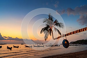 Beautiful coconut trees and sunset on the beach, Koh Tao island in Thailand