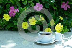 Beautiful coffee mug on the marble table