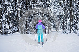 Beautiful cold forest view of ski run track on ski resort, winter day on a slope, pist, nordic skier on the track in winter,