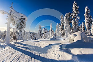 Beautiful cold mountain view of ski resort, sunny winter day wit