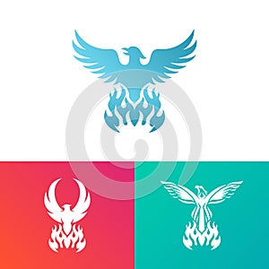 Beautiful Collection Modern Flying Vertical Phoenix Design Concept Logo Template Design