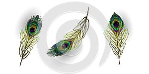 Beautiful collection of vector realistic peacock feathers for online shopping, advertising actions, magazines and websites. Vector