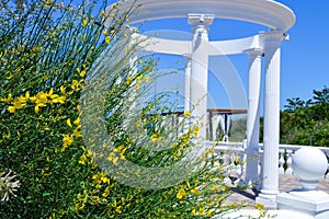 Beautiful colonnade of white color and a low fence