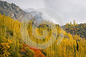 Beautiful color in autumn season in Hunza valley, Gilgit Baltistan, Pakistan
