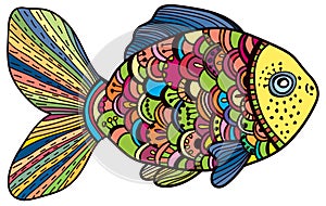 Beautiful color Fish