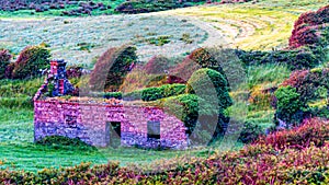 Beautiful color scheme by sunset over a ruined house in the meadow near the village of Doolin