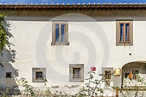 Beautiful colored roses in the garden of the ancient cell of San Romualdo, sacred hermitage of Camaldoli, Italy