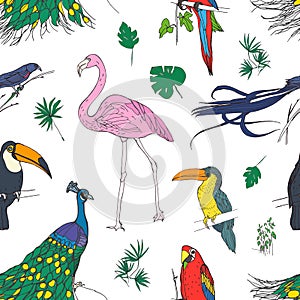 Beautiful colored seamless pattern with tropical birds and exotic leaves hand drawn on white background. Colorful vector