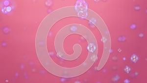 Beautiful colored soap bubbles fly indoors on a pink background. Round bubbles flying in the air and sparkling with