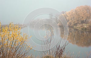 Morning Beautiful colored trees with lake in autumn, landscape photography. Late autumn and early winter period. Outdoor and natur