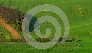 Beautiful and colorful abstract landscape, with rolling hills and green wheat fields in South Moravia, Czech Republic