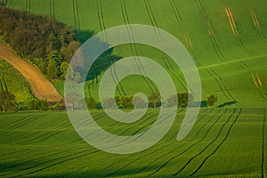 Beautiful and colorful abstract landscape, with rolling hills and green wheat fields in South Moravia, Czech Republic