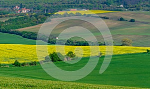 Beautiful and colorful abstract landscape, with rolling hills, green wheat fields and yellow rape fields in South Moravia, Czech