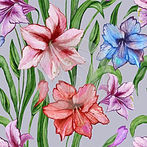 Beautiful colorful amaryllis flowers with green leaves on gray background. Seamless spring pattern. Watercolor painting.