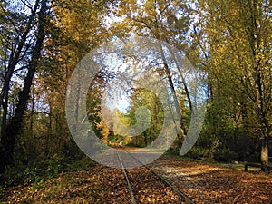 Beautiful and colorful autumn. Railtrack with fallen leafes