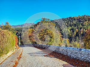 A beautiful colorful autumn in Rankweil