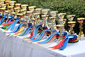 Beautiful colorful awards on the table to the winners of the races