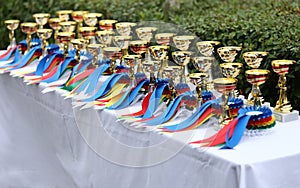 Beautiful colorful awards on the table to the winners of the races