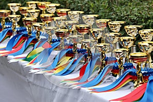 Beautiful colorful awards on the table to the winners of the races