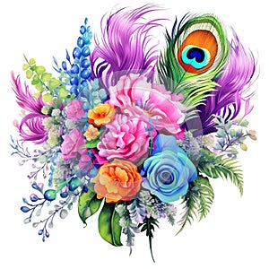 beautiful colorful bouquet peacocks feather clipart illustration