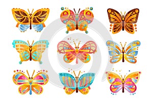 Beautiful colorful butterflies set vector Illustrations on a white background