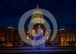 Beautiful and colorful Capital Christmas trees on the steps in Boise Idaho