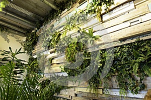 Beautiful and colorful coffeehouse in the city center of Lisbon in Portugal. Cosy restaurant in the district of Alfama with plants