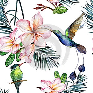 Beautiful colorful colibri and pink plumeria flowers on white background. Exotic tropical seamless pattern. Watecolor painting.