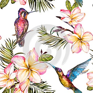 Beautiful colorful colibri, plumeria flowers and palm leaves on white background. Exotic tropical seamless pattern.