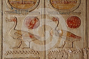 Beautiful colorful ducks on the wall of Ramses iii temple