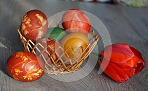Beautiful colorful Easter eggs in a knit basket and red tulip on wooden table.