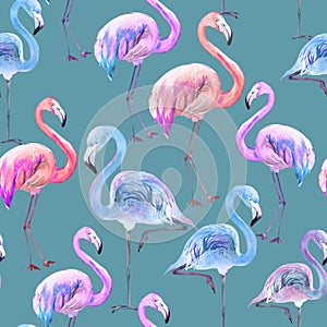 Beautiful colorful flamingo on blue background. Bright exotic seamless pattern. Watercolor painting.